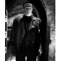Bride of Frankenstein Boris Karloff Photo